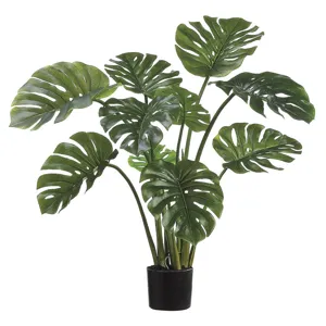 39" Split Philodendron Leaf Plant in Black Plastic Pot - Two Tone Green