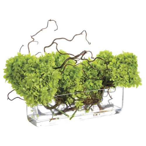 Curly Willow with Cone Hydrangea in Glass Vase - Lime