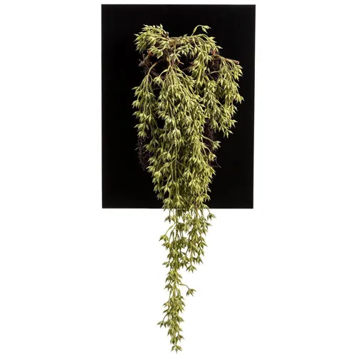 Hanging Sedum Wall Piece Green Two Tone