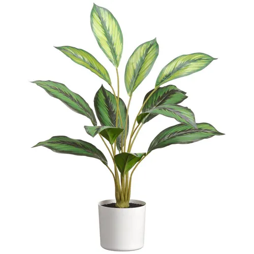 26.5" Calathea Plant in Plastic Pot - Green Variegated