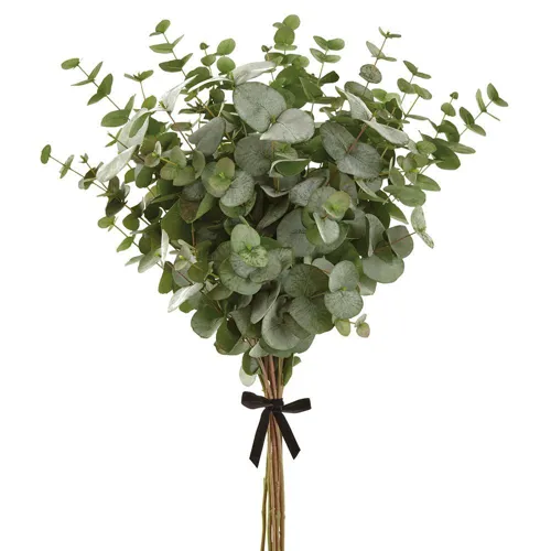 40"/34" Eucalyptus Bundle - Green Gray