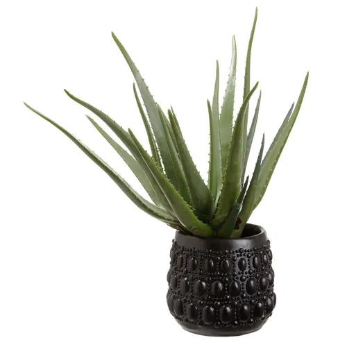 Agave Plant in Cement Pot Green