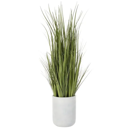 Wild Grass in White Cement Planter - Green