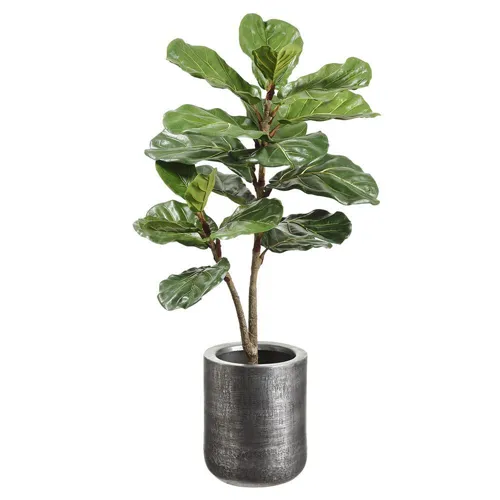 Fiddle Leaf Plant In Textured Antique Zinc Planter - Green