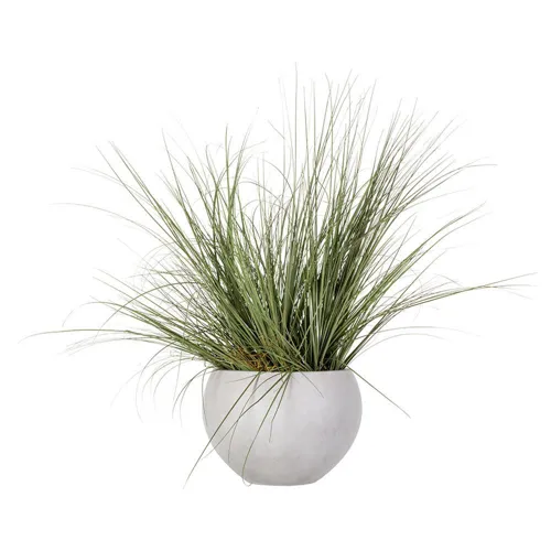 Wild Grass in Cement Pot Green