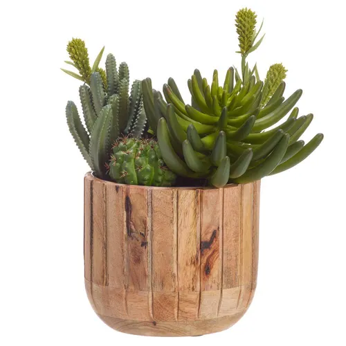 Succulent Mix in Wood Planter Green Two Tone