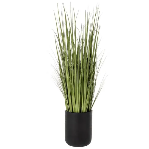 Wild Grass in Black Cement Planter - Green Light