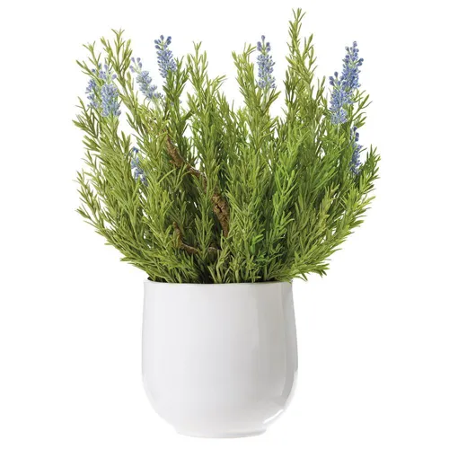 Lavender/Wood in Ceramic Vase Lavender Green