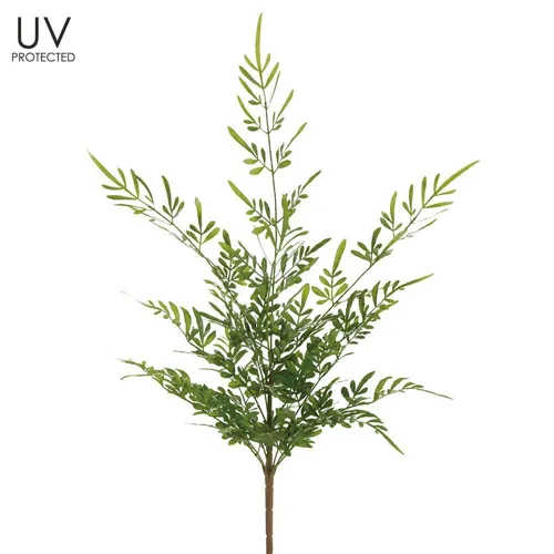 5' Bird of Paradise Plant in Plastic Pot - Green