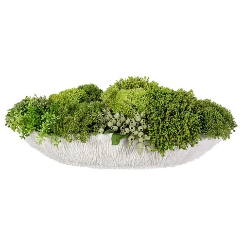 Mixed Sedum in Low Coral Vase - Green Light