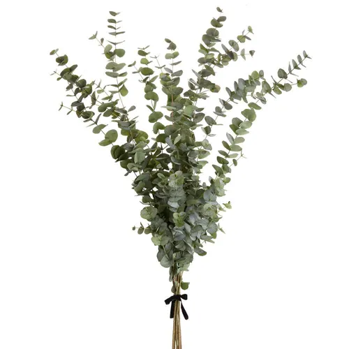 61"/40" Eucalyptus Bundle - Green Gray