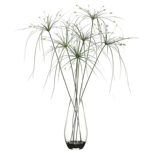 Papyrus Grass in Glass Container - Green
