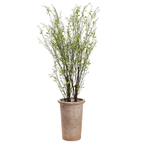 95" Berries Tree in Cement Planter - Green Yellow