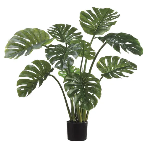 39" Split Philodendron Leaf Plant in Black Plastic Pot - Two Tone Green