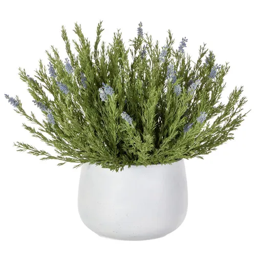 Wild Lavender in Cement Pot Lavender - Green
