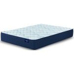 Cunningham Firm Mattress