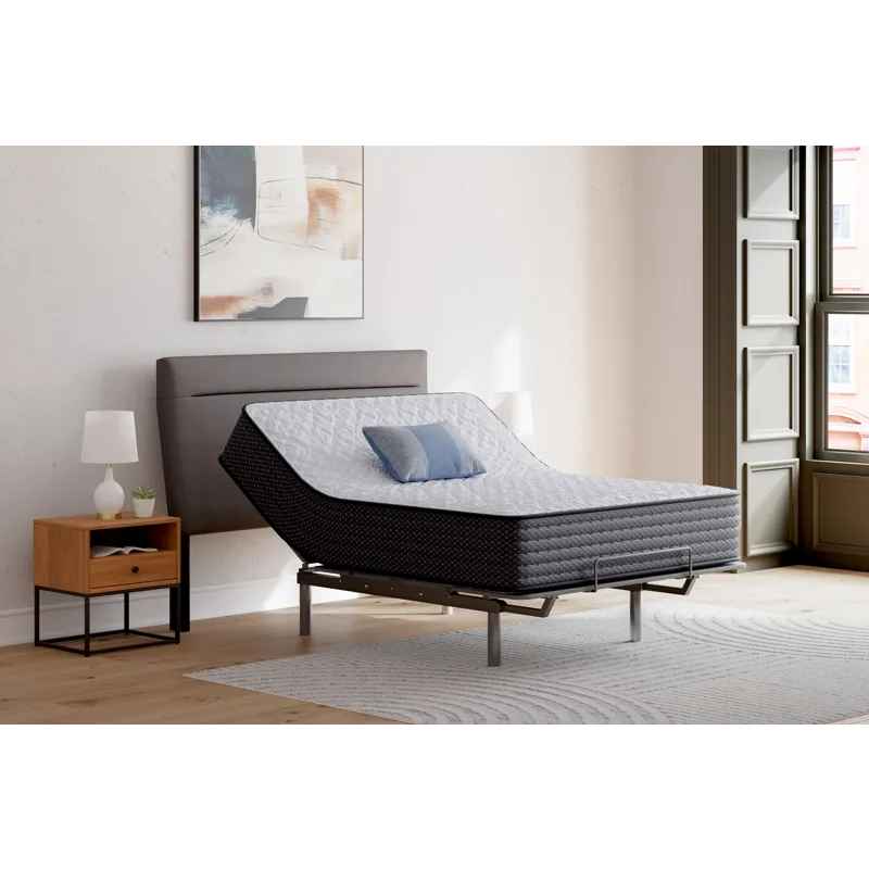 Anniversary Edition Firm Mattress
