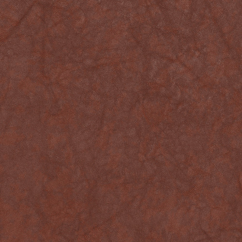 Pecan (577-72)