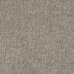 Lunar Taupe