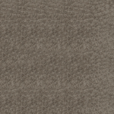 Fossil