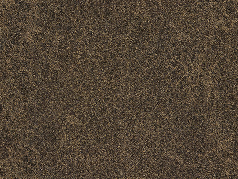 Bark