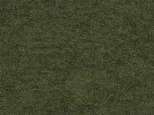 Moss