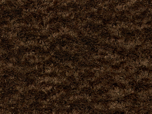 Chocolate / Fawn