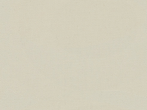 Ivory / Mist