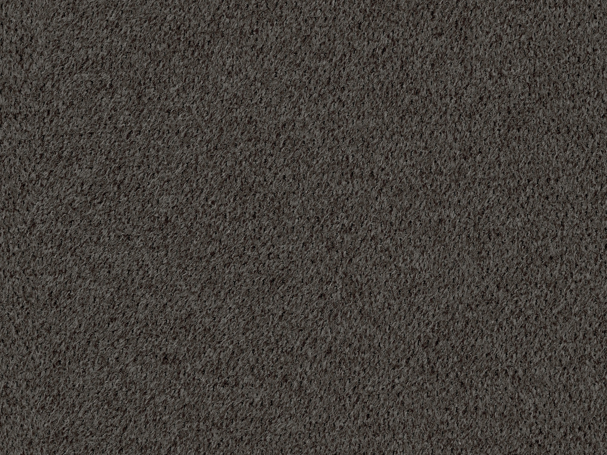 Bark