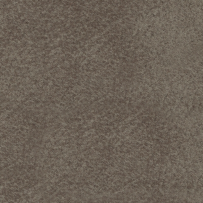 Fossil