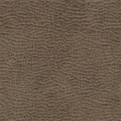 Fossil