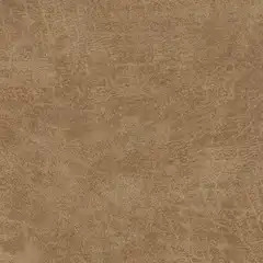 i-Northwest Camel