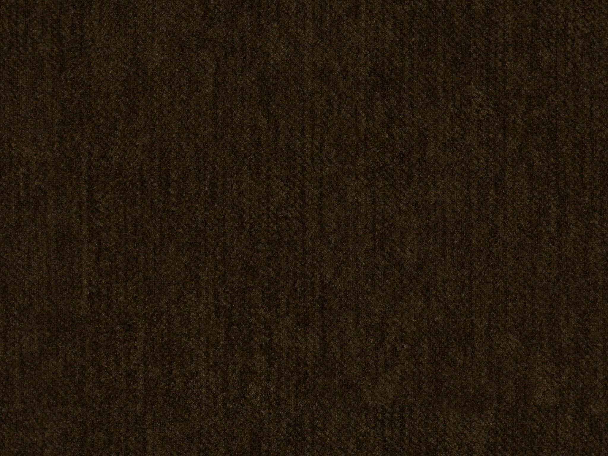 Mercury Desert / Tenement Molasses