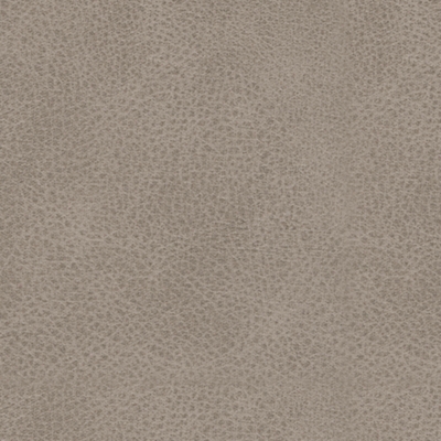 Pebble