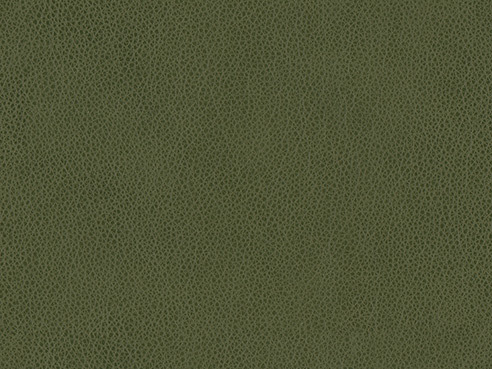 Boreal Forest
