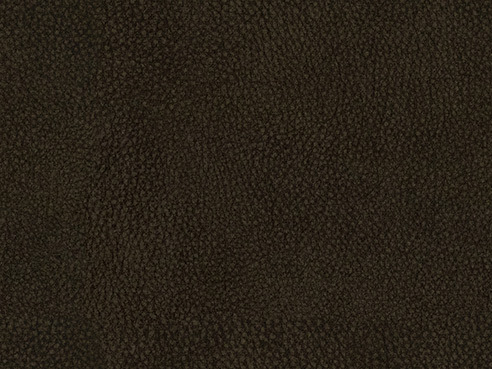 Bark