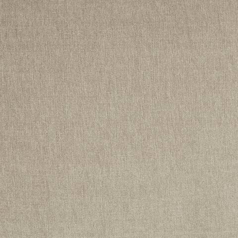 Warm Gray
