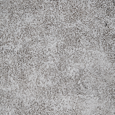 Antique White