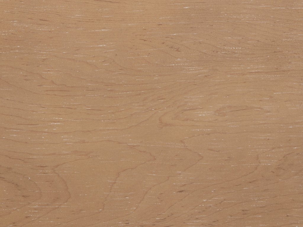 Sunbleached Cypress
