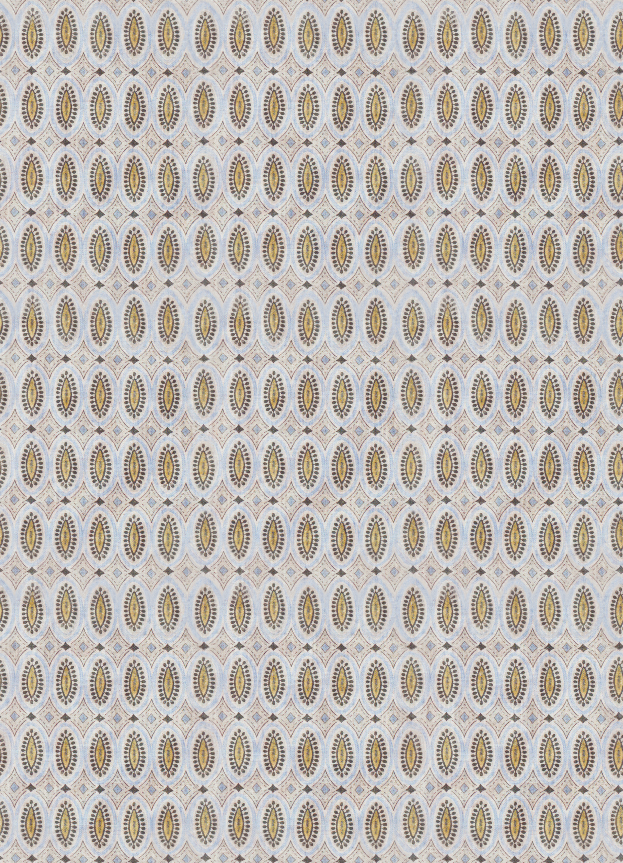 Cacao-22