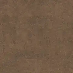 Pecan