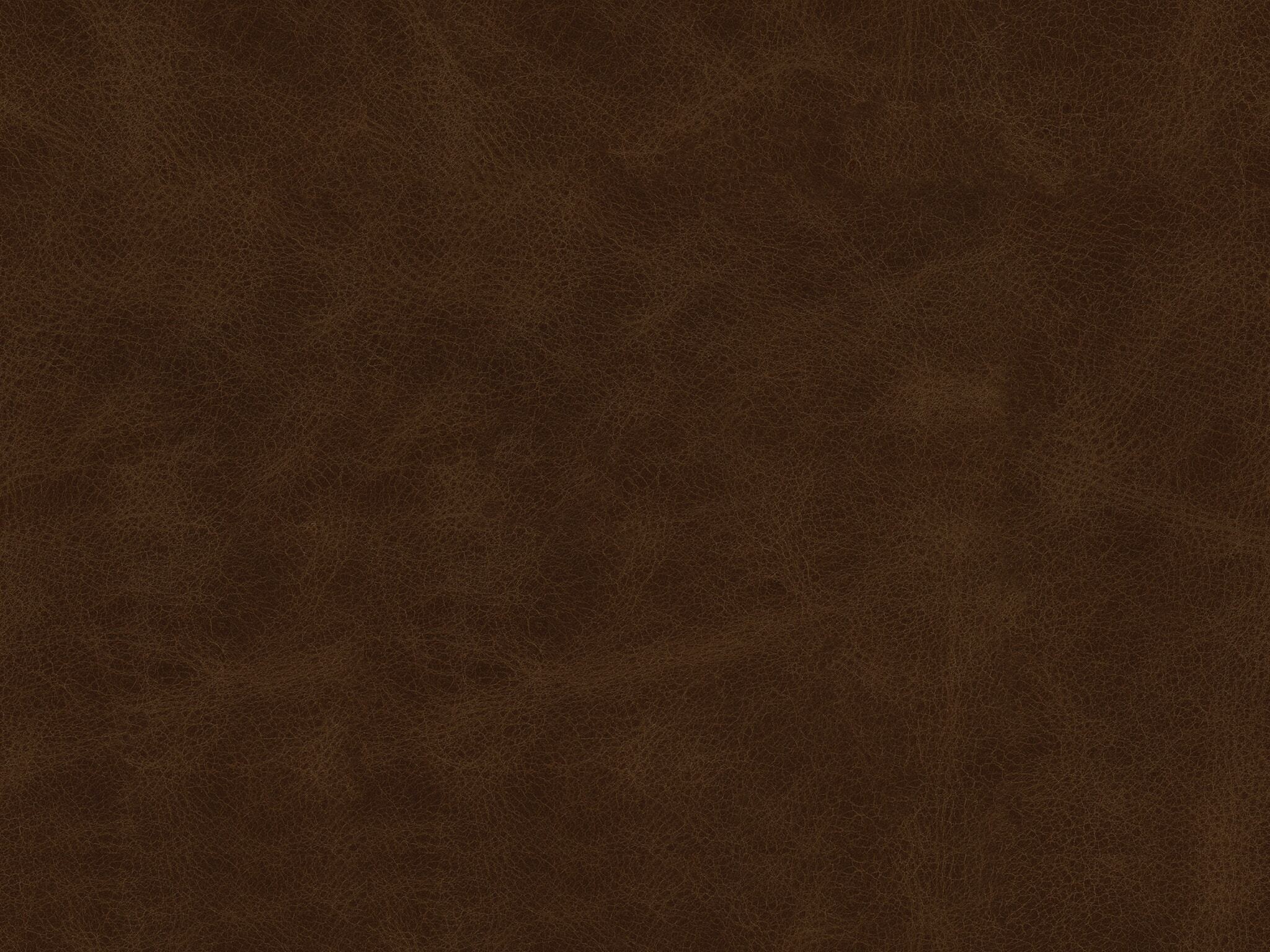 Revelation Tigers Eye