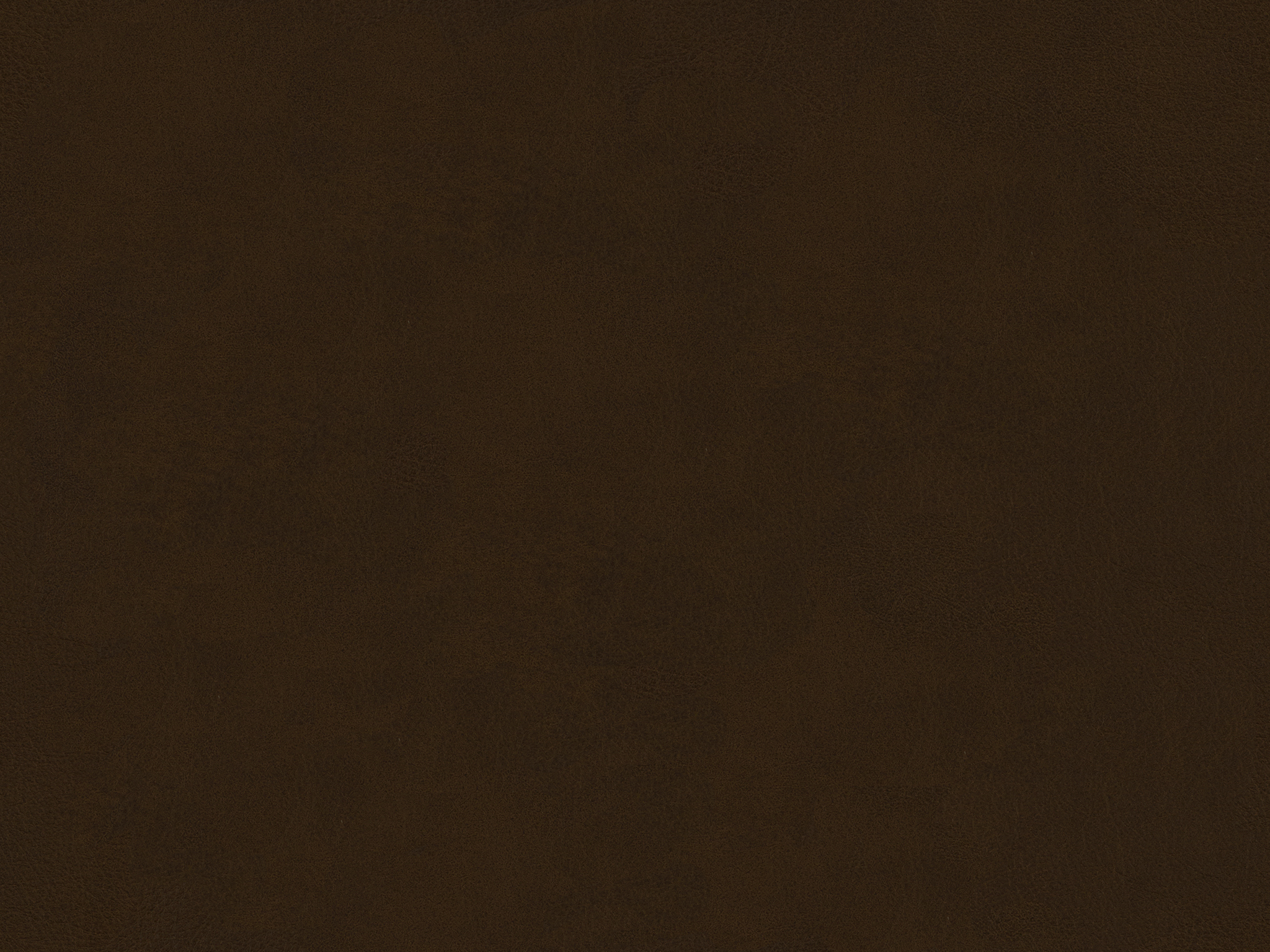 Childs Play Backyard