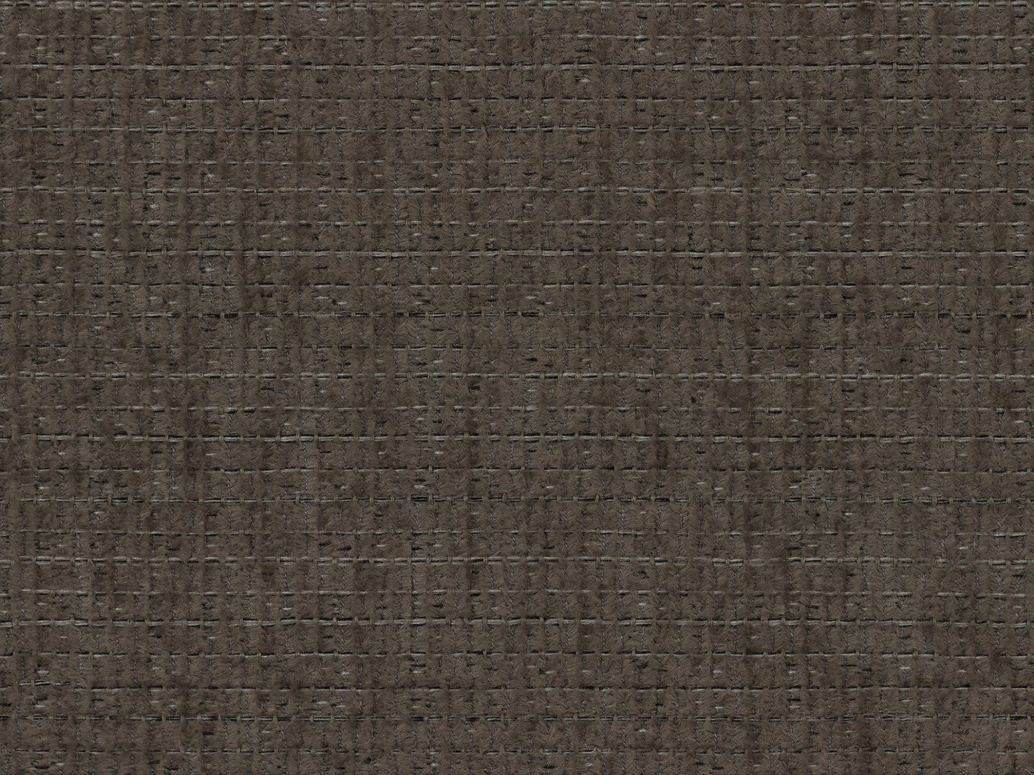 Cline Truffle / Variety Frost