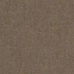 Cocoa