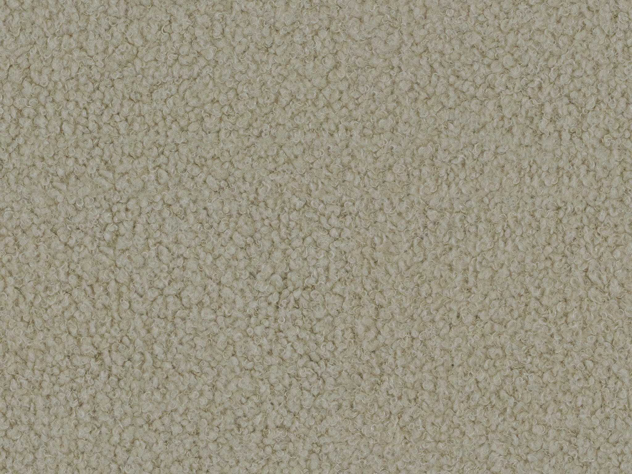 Fleeced Oyster