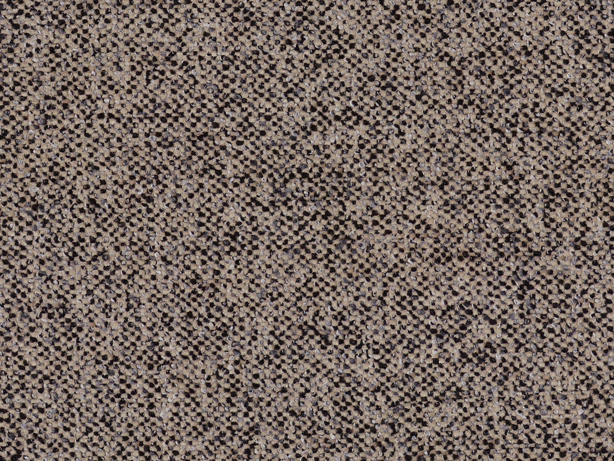 Fury Meadow / Julien Tweed