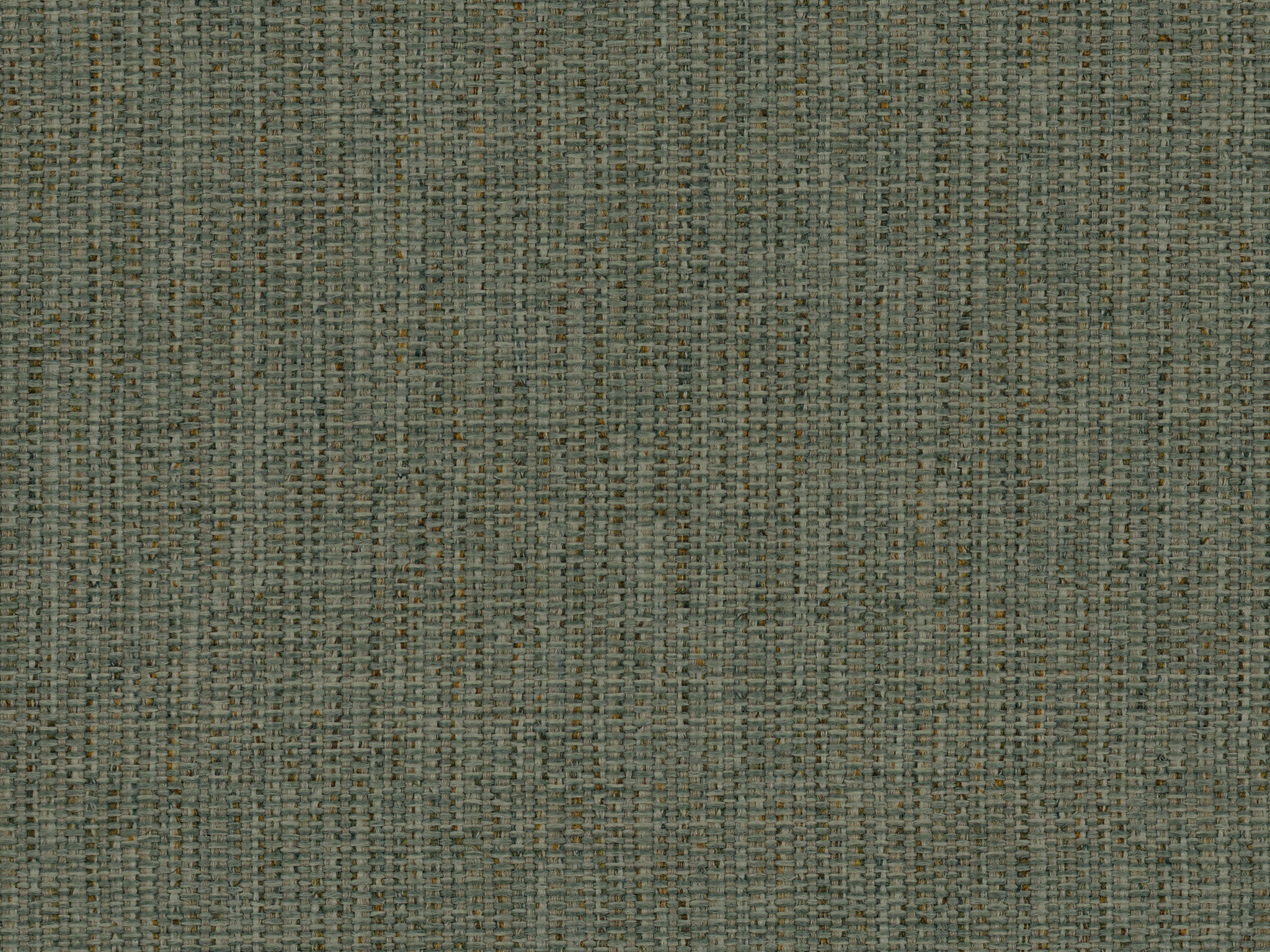 Ching Spring / Laredo Laurel