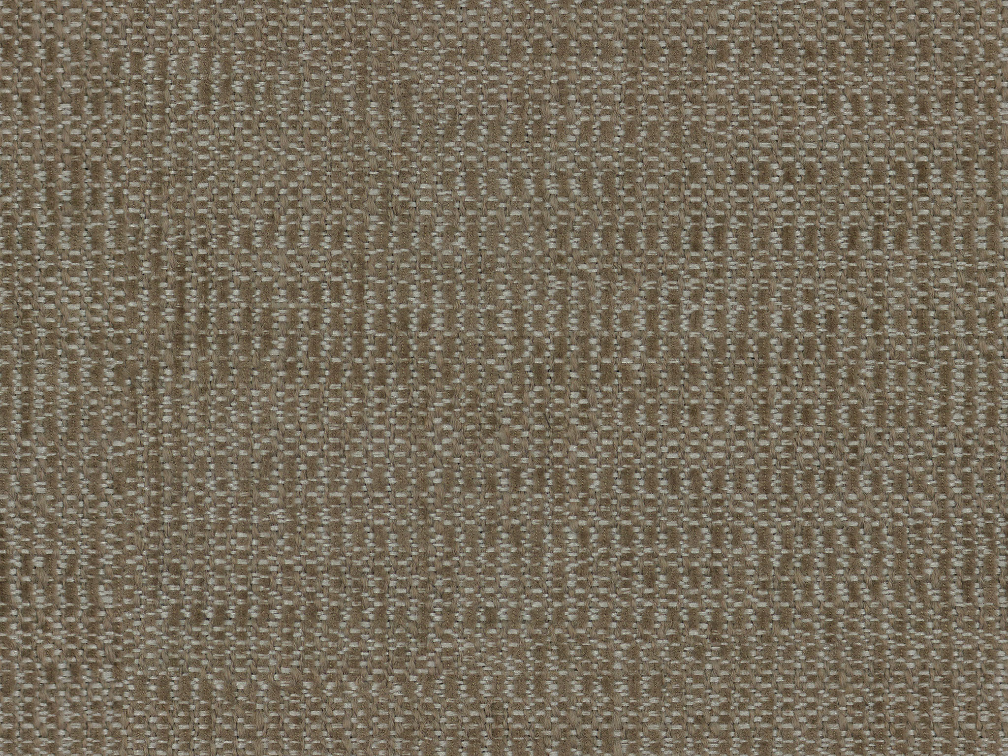 Pacino Fossil / Weldon Fog