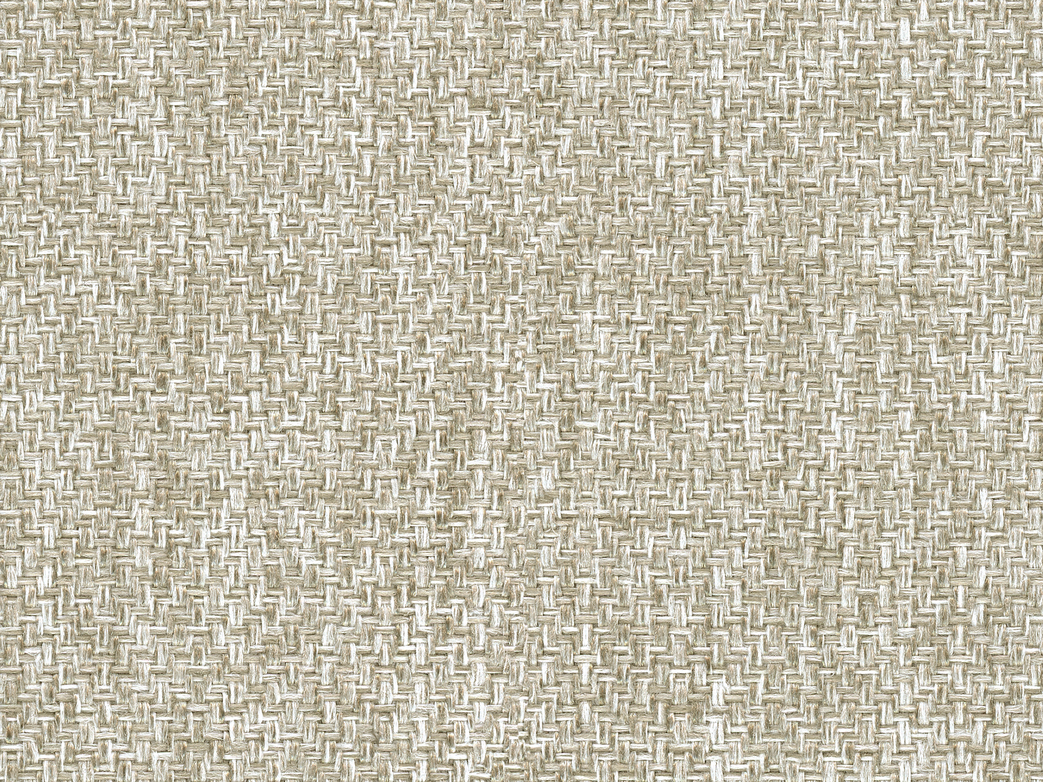 Penelope Multi / Romero Bone